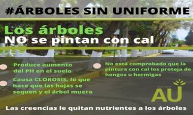 LOS ARBOLES DE UNIFORME.