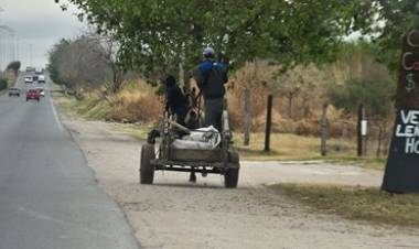 EN CÓRDOBA JUNTAN FIRMAS PARA ELIMINAR LOS CARROS A CABALLO.