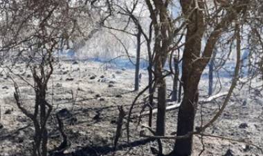 CÓRDOBA : YA SE PERDIERON MÁS DE 500 HECTÁREAS EN EL INCENDIO DEL NORTE PROVINCIAL.