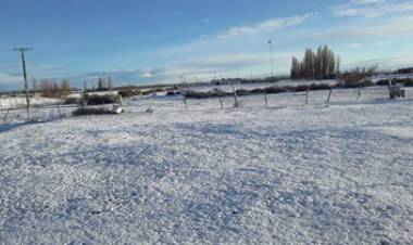 VIDEO: NIEVE EN BARILOCHE, COMODORO RIVADAVIA Y ESQUEL EN PLENA PRIMAVERA.