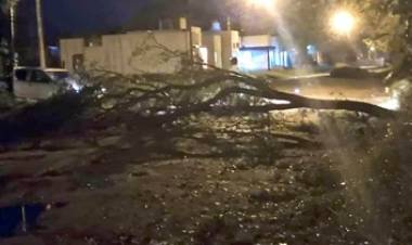 CON FUERTE VIENTO Y GRANIZO, LA TORMENTA LLEGÓ AL SUR DE CÓRDOBA,EN LA NOCHE DEL MARTES 12 DE OCTUBRE.