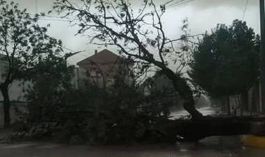 San Luis : Temporal causó daños en localidades del Valle del Conlara, en la tarde del sábado 19 de Noviembre.