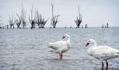 ANSENUZA,CÓRDOBA : LA LEYENDA DE LA DIOSA INDIA DEL AGUA  Y LA MARAVILLA ACTUAL DE LA LAGUNA DE MAR CHIQUITA.