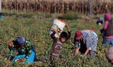 Rescataron a más de 100 trabajadores rurales "en condiciones infrahumanas"