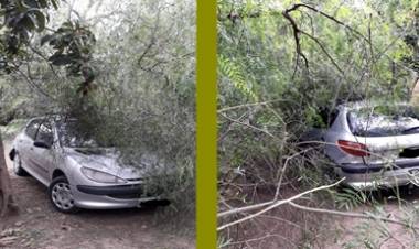 EL PUEBLITO, SAN JAVIER : RAMAS DE UN ÁRBOL CAYÓ SOBRE UN AUTO ,SOLO DAÑOS MATERIALES.