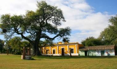  LA HISTORIA DEL ÁRBOL EMBLEMA DE ISCHILÍN QUE TIENE 700 AÑOS.