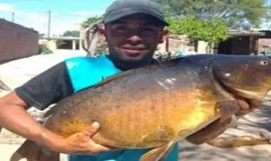 PESCAN CARPA"GIGANTE" DE 12 KILOS EN EL DIQUE CRUZ DEL EJE, CÓRDOBA.