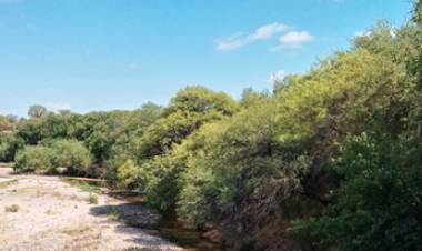 MISTERIO Y HORROR EN EL NORTE DE CÓRDOBA : HALLAN RESTOS HUMANOS A LA VERA DEL RÍO SOTO.