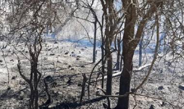  CONTROLARON EL INCENDIO FORESTAL EN CERCANÍAS DE VILLA GIARDINO, CÓRDOBA.