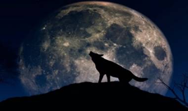 LUNA DEL LOBO 2022 : ¿QUE SIGNIFICA Y DÓNDE SE PODRÁ? 