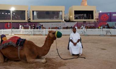 Qué es la "gripe del camello", el virus que joroba a Francia y tiene en alerta a Qatar.