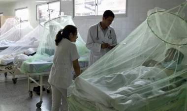 Dengue: cuáles son los riesgos ante la segunda infección.