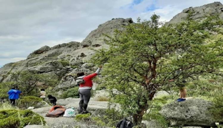 BOSQUES NATIVOS - PREOCUPADOS POR LAS "FÁBRICAS DE AGUA", REÚNEN TABAQUILLOS PARA REFOSRESTAR EN LOS GIGANTES.