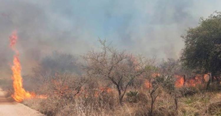 INCENDIO FORESTAL EN EL NORTE CORDOBÉS : UNA PERSONA MURIÓ QUEMADA.