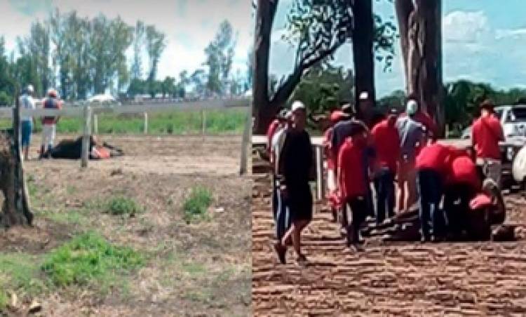  MURIERON DOS CABALLOS EN CARRERAS CUADRERAS EN  EL HIPÓDROMO DE SAN FRANCISCO, CÓRDOBA.